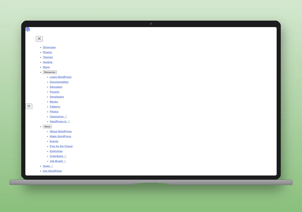 Mail Queue WordPress plugin review